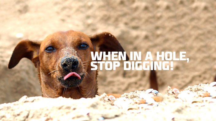 Image of dog with caption "When in a hole, stop digging"